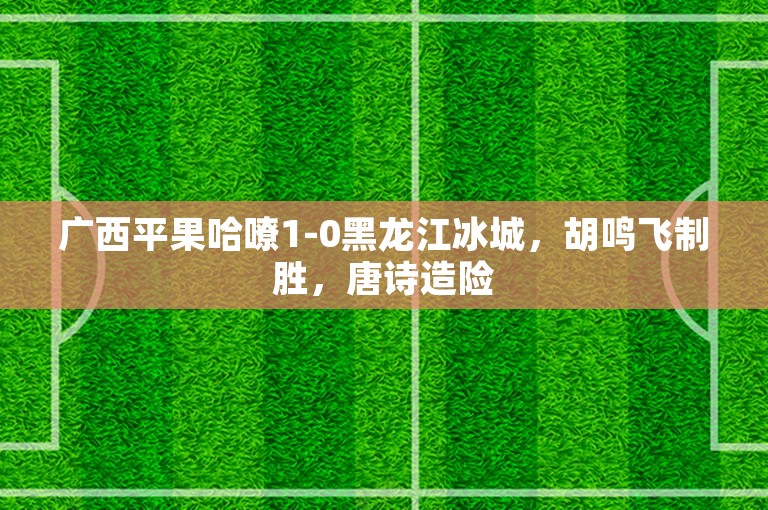 广西平果哈嘹1-0黑龙江冰城，胡鸣飞制胜，唐诗造险