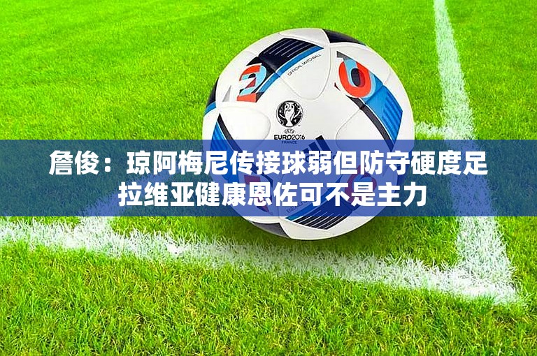 詹俊：琼阿梅尼传接球弱但防守硬度足 拉维亚健康恩佐可不是主力