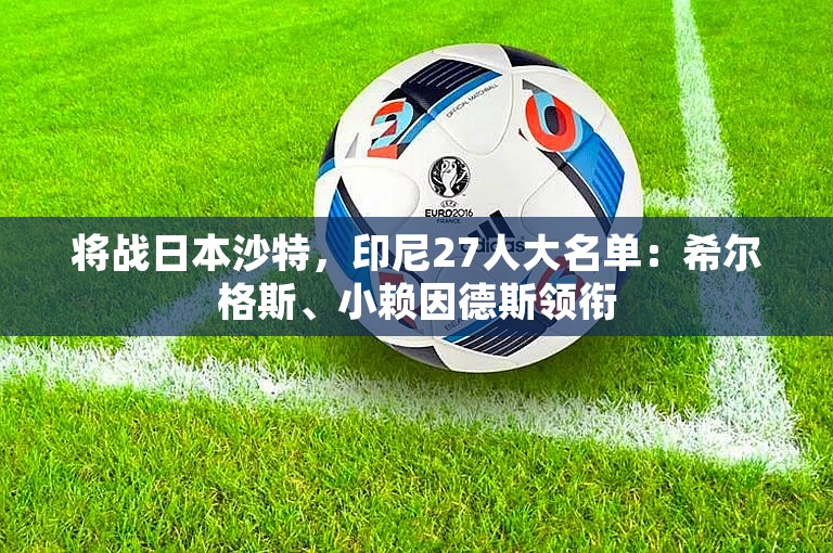 将战日本沙特，印尼27人大名单：希尔格斯、小赖因德斯领衔