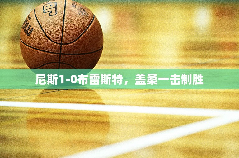 尼斯1-0布雷斯特，盖桑一击制胜