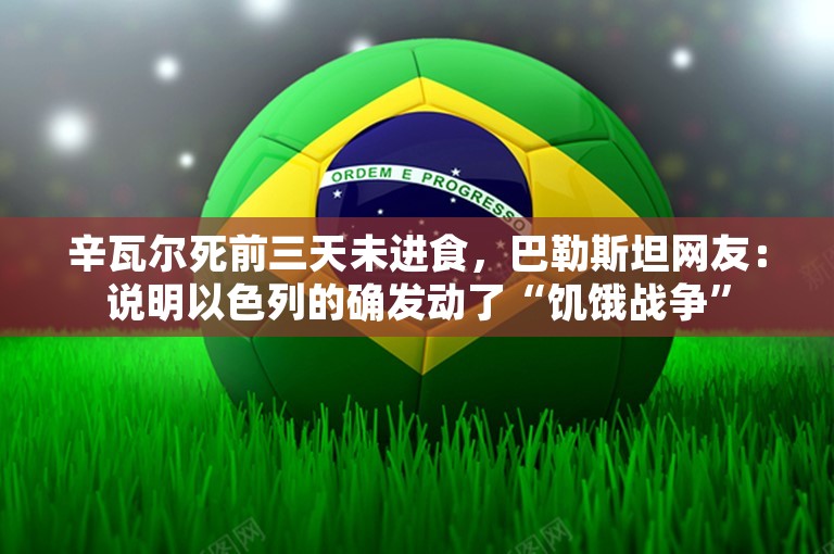 辛瓦尔死前三天未进食，巴勒斯坦网友：说明以色列的确发动了“饥饿战争”