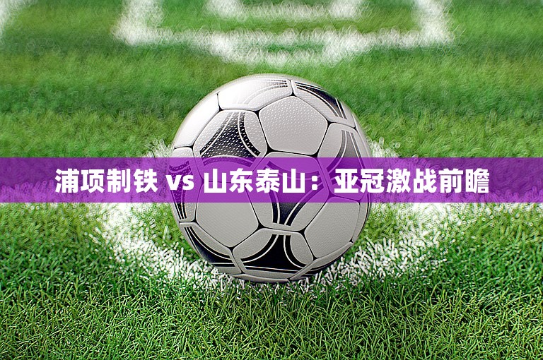 浦项制铁 vs 山东泰山：亚冠激战前瞻