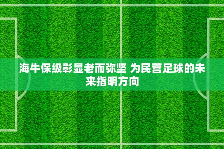 海牛保级彰显老而弥坚 为民营足球的未来指明方向