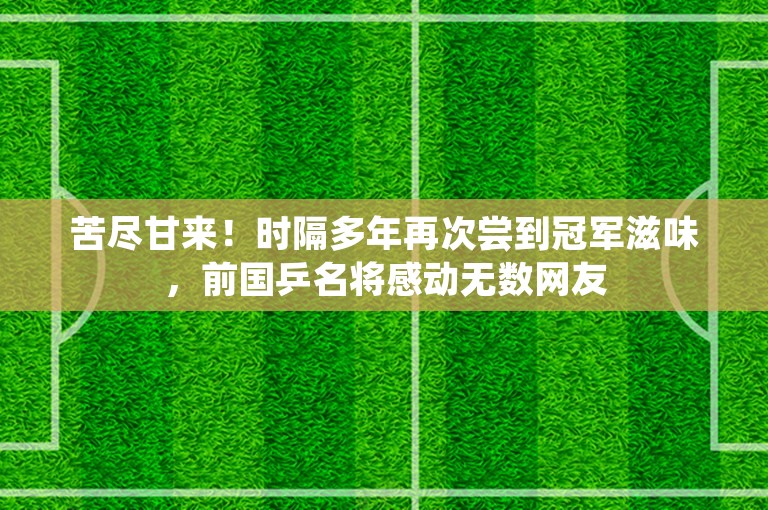 苦尽甘来！时隔多年再次尝到冠军滋味，前国乒名将感动无数网友