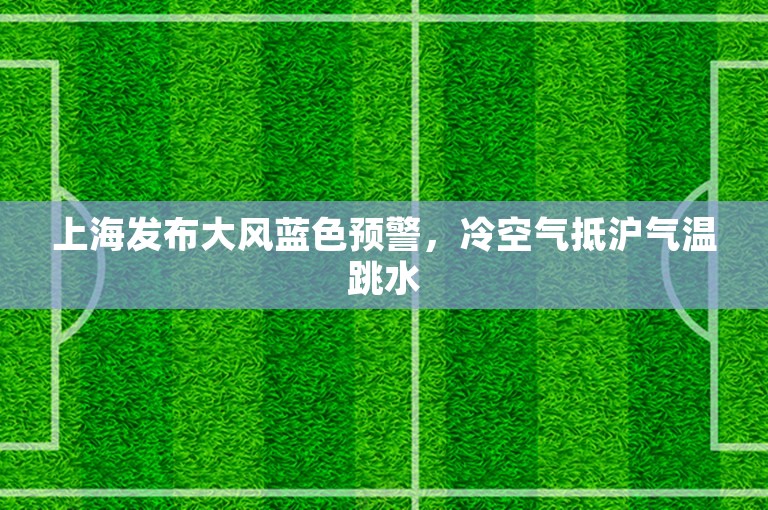 上海发布大风蓝色预警，冷空气抵沪气温跳水