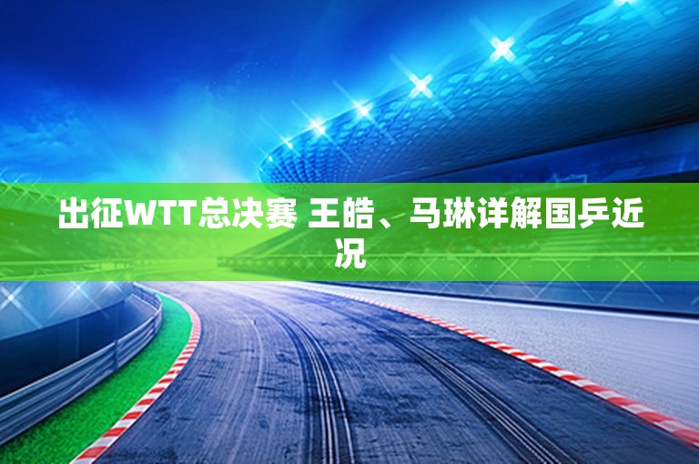 出征WTT总决赛 王皓、马琳详解国乒近况