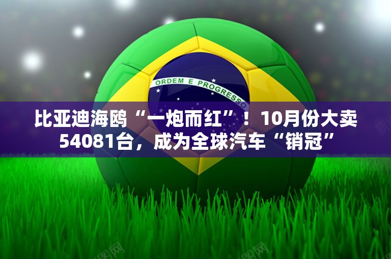 比亚迪海鸥“一炮而红”！10月份大卖54081台，成为全球汽车“销冠”