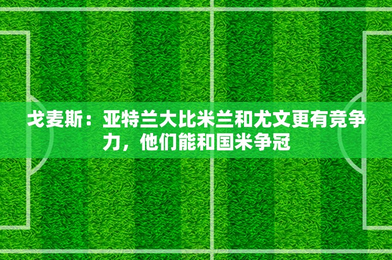 戈麦斯：亚特兰大比米兰和尤文更有竞争力，他们能和国米争冠