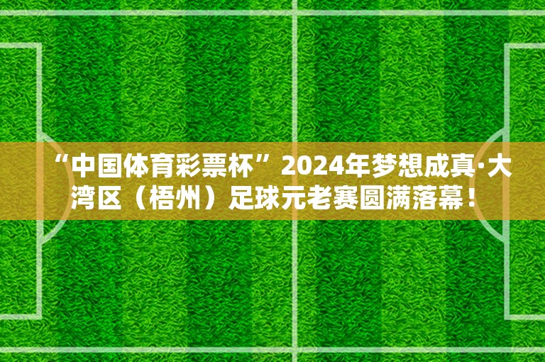 “中国体育彩票杯”2024年梦想成真·大湾区（梧州）足球元老赛圆满落幕！