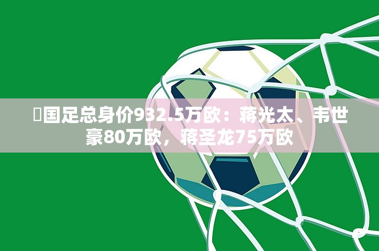 ️国足总身价932.5万欧：蒋光太、韦世豪80万欧，蒋圣龙75万欧