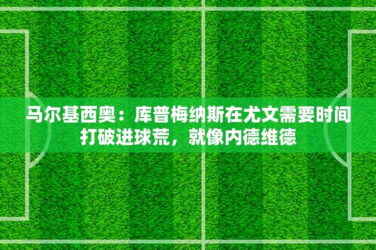 马尔基西奥：库普梅纳斯在尤文需要时间打破进球荒，就像内德维德