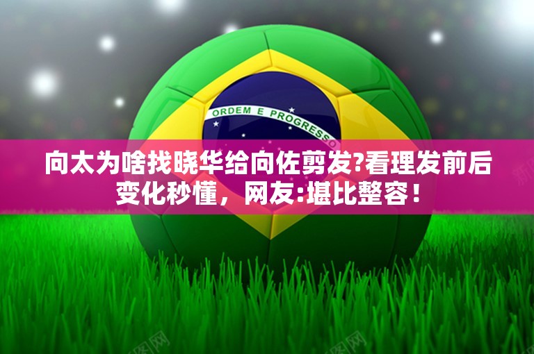 向太为啥找晓华给向佐剪发?看理发前后变化秒懂，网友:堪比整容！