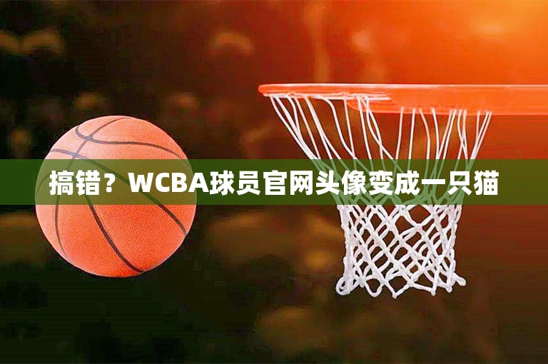 搞错？WCBA球员官网头像变成一只猫