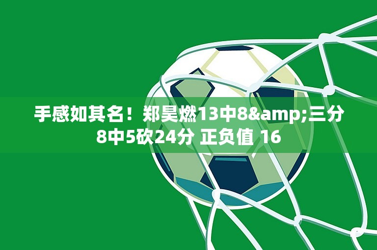 手感如其名！郑昊燃13中8&三分8中5砍24分 正负值 16